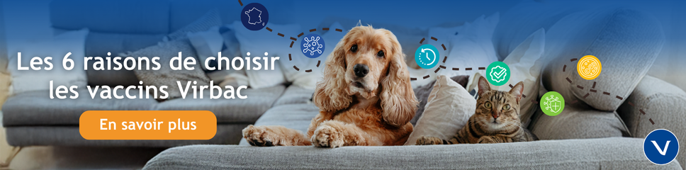 banniere-6-raisons-vaccins.png