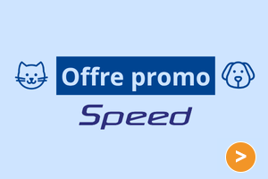 banniere-speed-1-3.png
