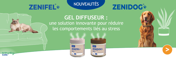 banniere-zen-2-3.png