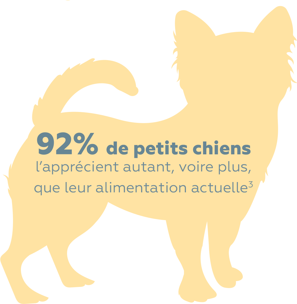 92-petits-chiens-preferent.png