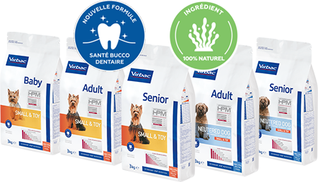 gamme-hpm-s-t-pastilles