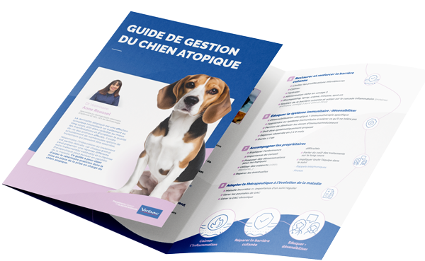 mockup-guide-chien-atopique.png