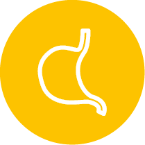 picto-digestion.png
