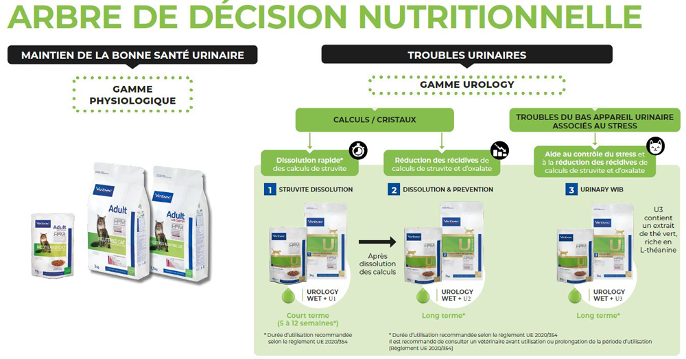 arbre-de-decision-nutritionnel-hpm-wet-urology-1000.png