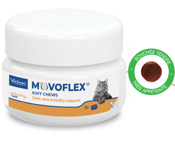 movoflex-bouche-tendre.png
