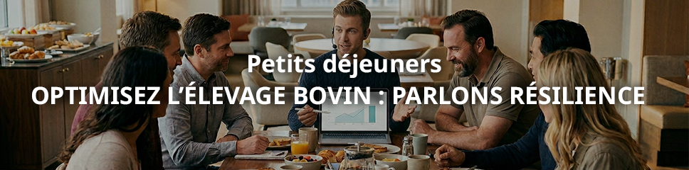 banniere-petits-dejeuners.png