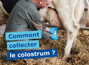 VIRBAC GESTION DU COLOSTRUM-15.png