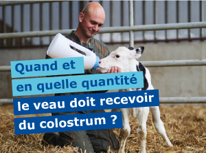 VIRBAC GESTION DU COLOSTRUM-33.png