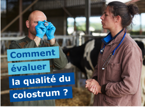 VIRBAC GESTION DU COLOSTRUM-35.png