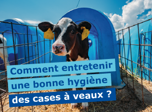 VIRBAC GESTION DU COLOSTRUM-39.png