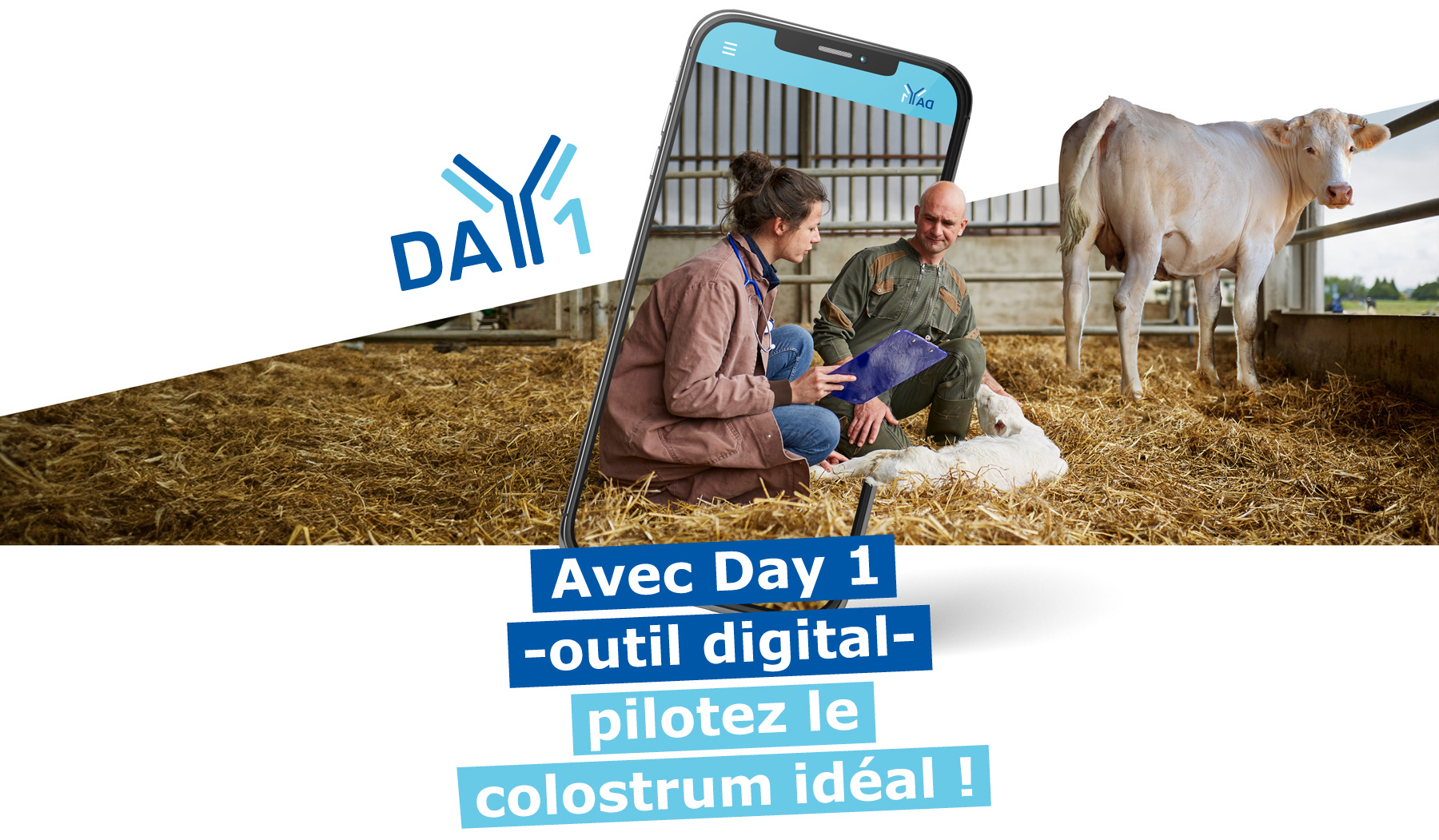 Bannière Day 1 Application Web Suivi Colostrum Vache