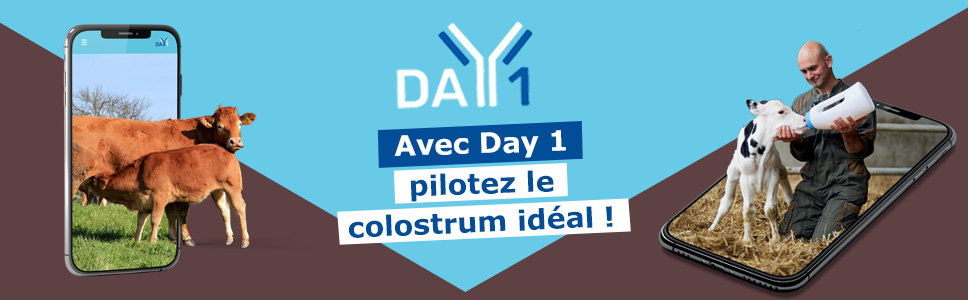 Découvrez DAY 1, la solution digitale pour piloter la qualité du colostrum