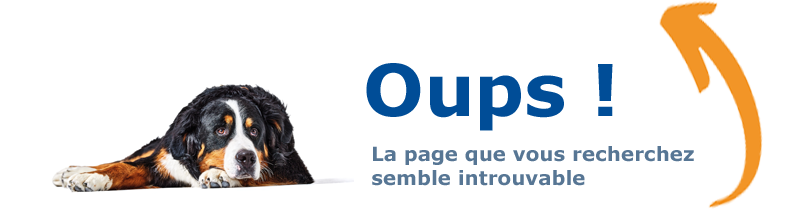 Page-erreur-404.6.png