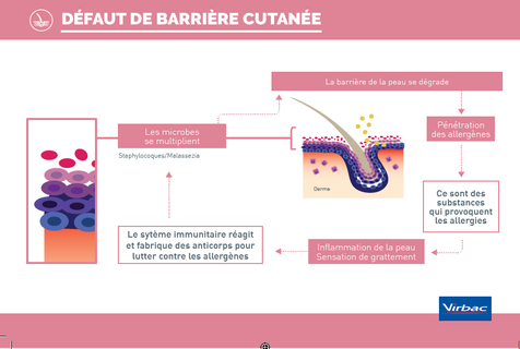 pasted image 0 (5) (1).png