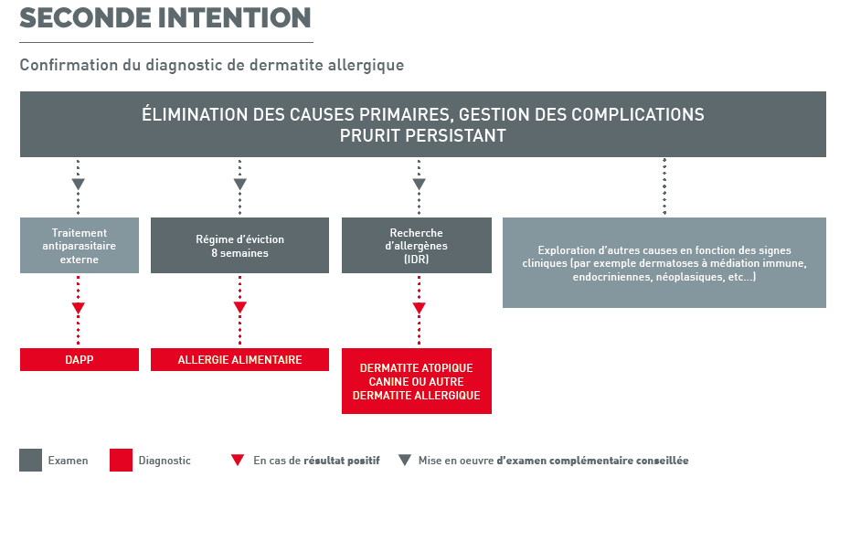 pasted image 0 (6).png