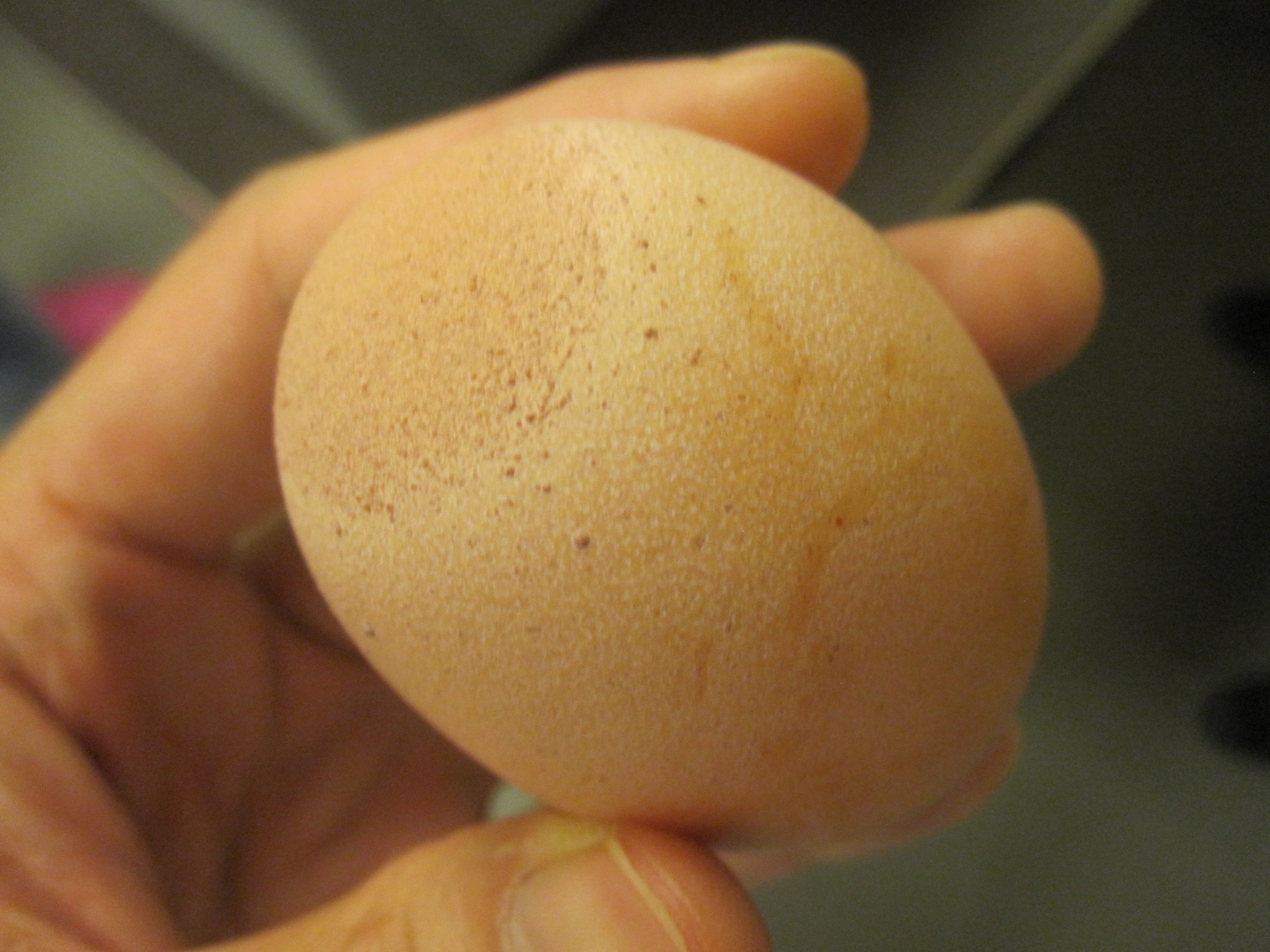 oeuf-coloration-anormal.jfif