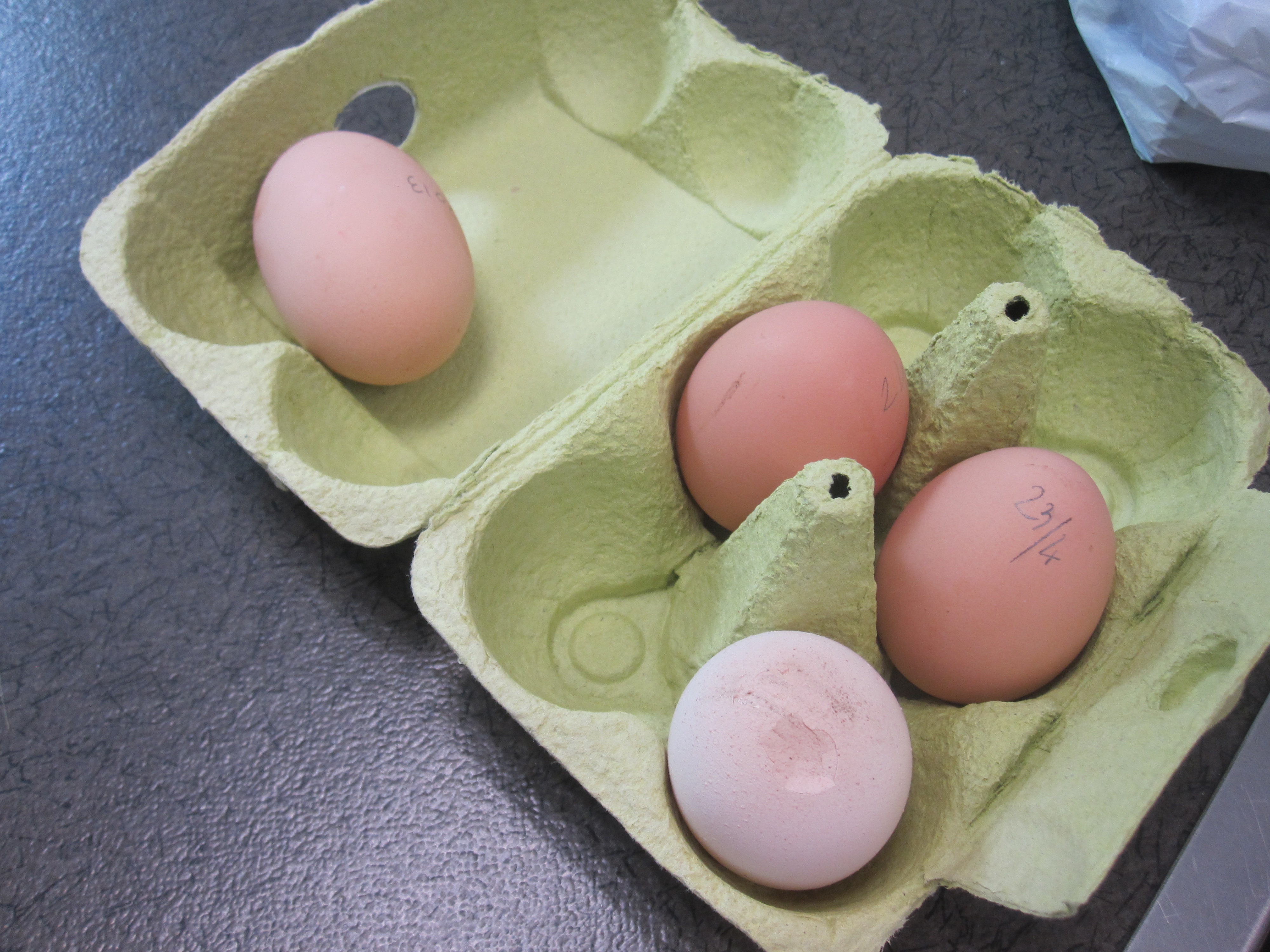 oeuf-irregulier.jfif