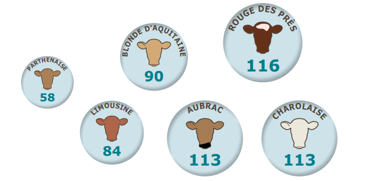 vbi168-figure1-qualite-colostrale-2.png