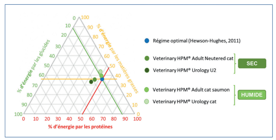 schéma-triangle-hpm-nutrition-wet.PNG