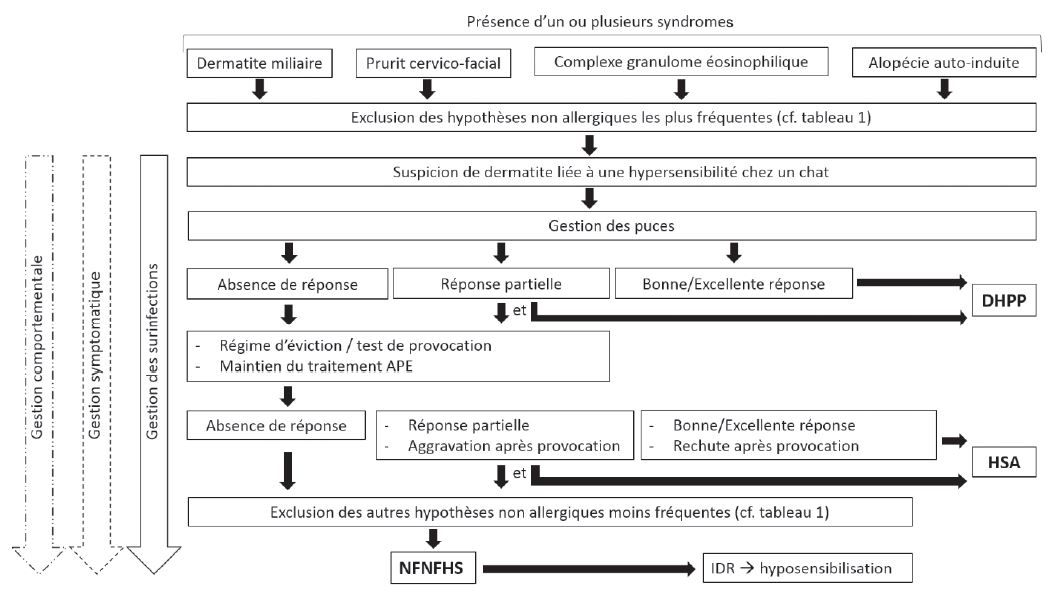 schema 1 dermatologie.png.jpg