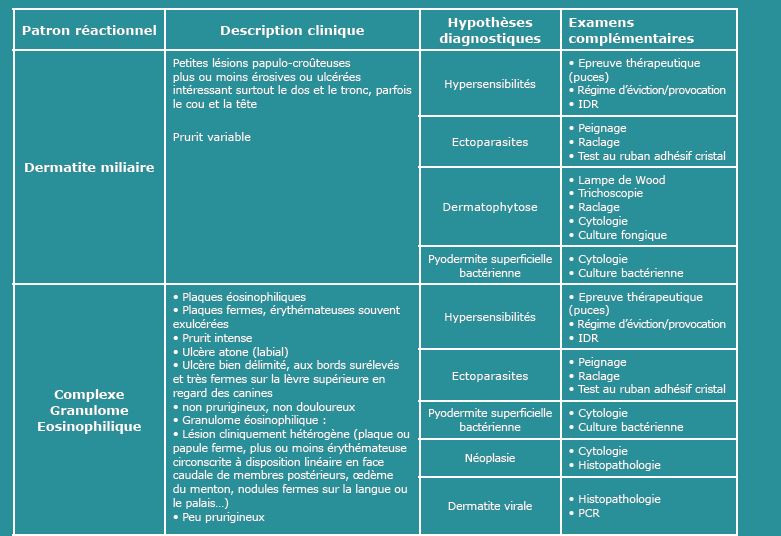 tab 1 dermatologie chat.jpg