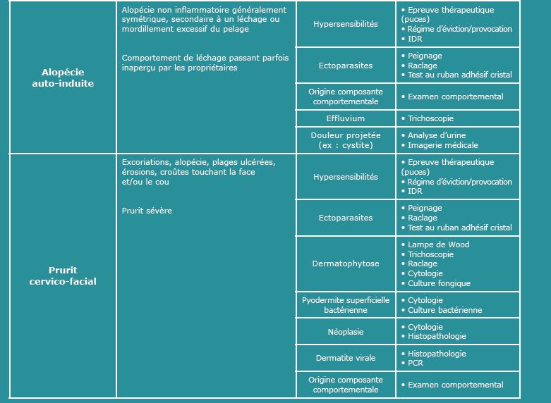 tab 2 dermatologie chat.jpg