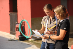 cheval antiparasitaire-resize250x169.png