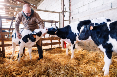 Image gamme complément alim véto-resize400x265.PNG