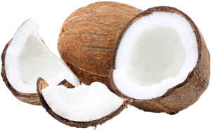 noix-coco.png