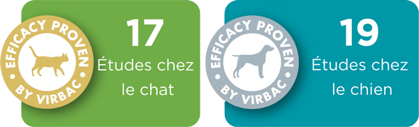 etudes-chiens-chats-hpm.png