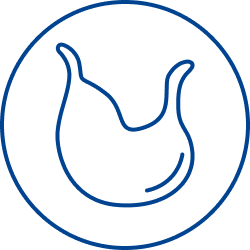 pictogramme digestion