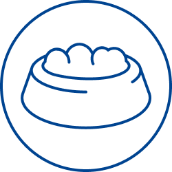 pictogramme gamelle croquette