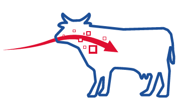 voie orale.png