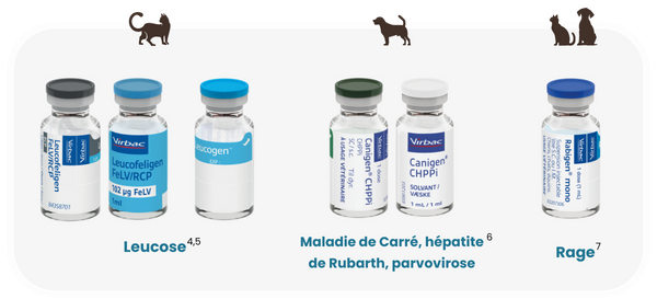 vaccins-immunite-3-ans.png