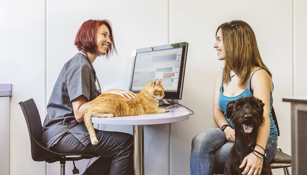 loginut vétérinaire