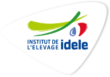 logo idele