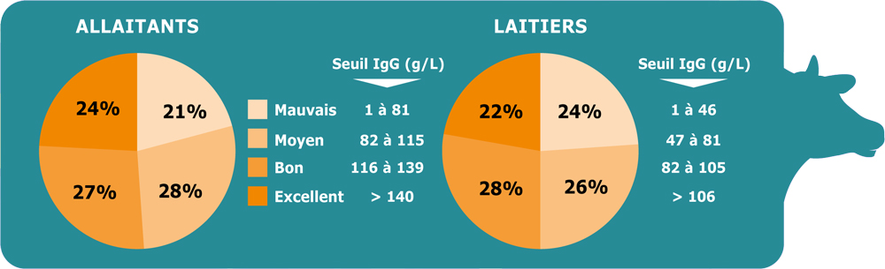 graph-2-resultats-coqc-23.png