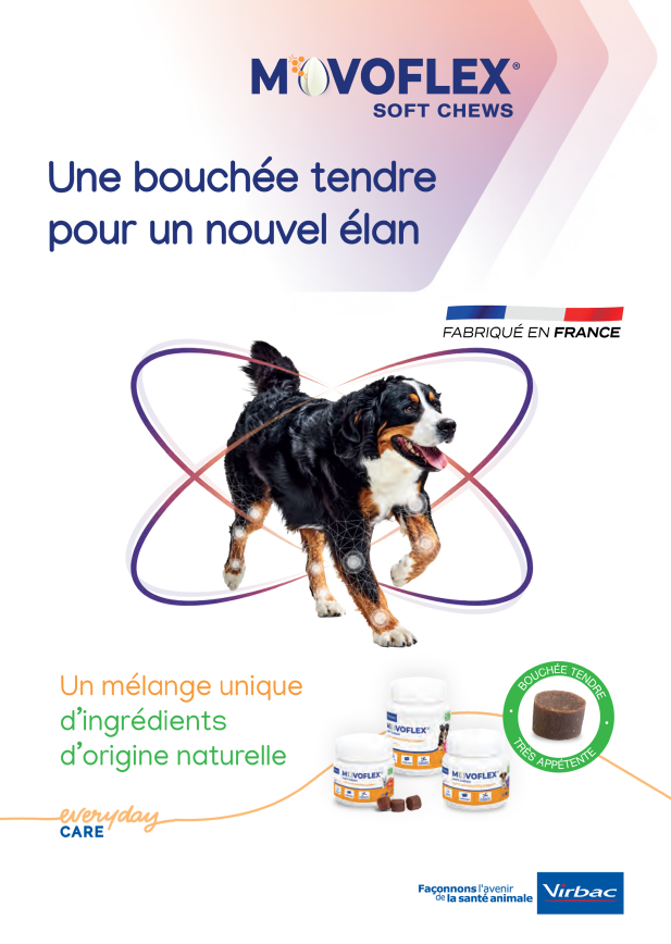 Movoflex : chondroprotecteur 5 en 1 pour soutien mobilité & confort  articulaire chiens