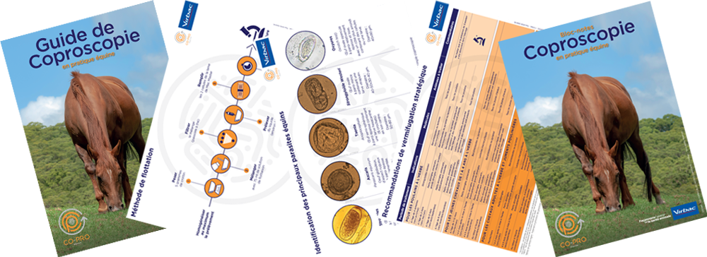 outils-copro-equine.png