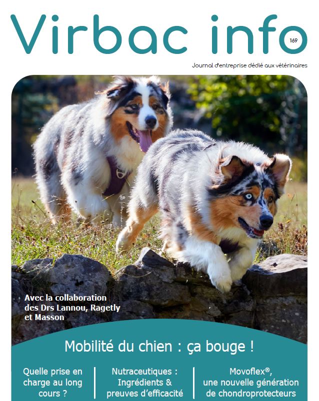 Movoflex bouchées pour soutenir les articulations du chien - Virbac