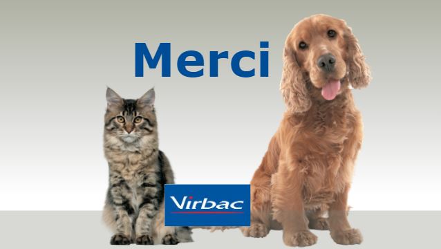 merci-contact.JPG