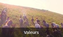 valeur-vb.PNG