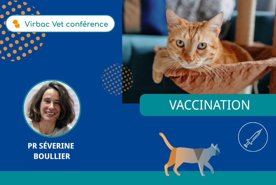 Maîtrisez la vaccination féline (leucose & coryza) : Session de Q&R en direct avec Pr Boullier