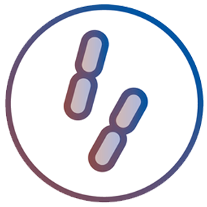 lactobacillus.png