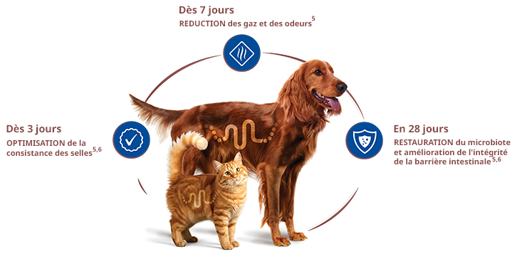 promesse-3-7-28.png