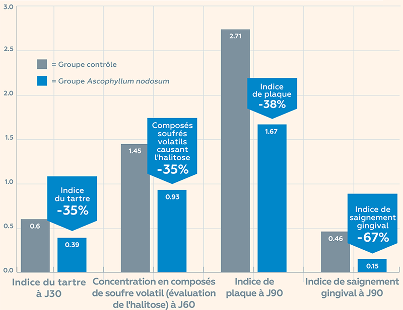 graphique-tartre-plaque-algue-brune