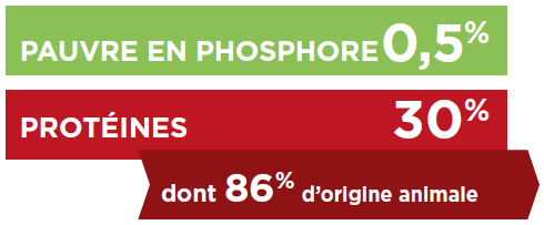 pauvre-phosphore-riche-proteine.jpg