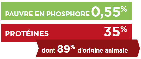 pauvre-phosphore-riche-proteines-kj2.png