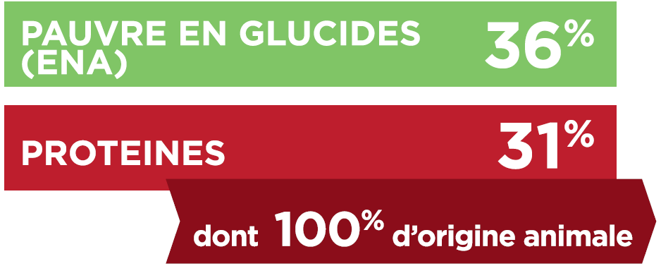 TX-GLUCIDES_PROTEINES.PNG