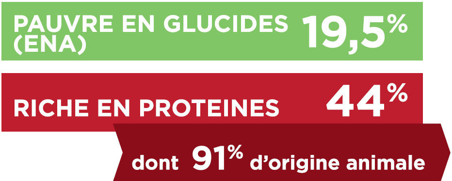 TX-GLUCIDES_PROTEINES.PNG